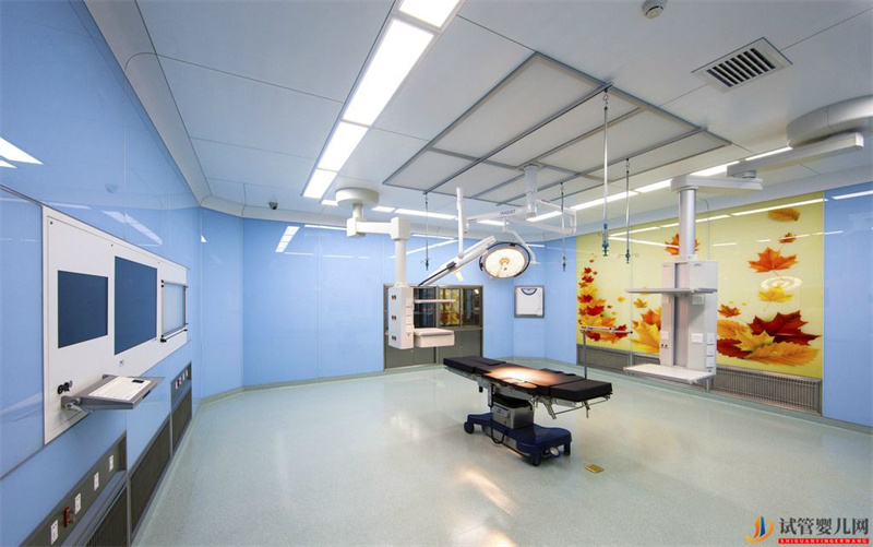 美國試管嬰兒成功率解析(圖1)