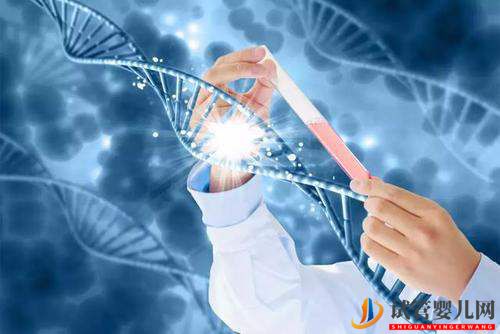 美國試管嬰兒相對于國內有哪些優勢(圖1)