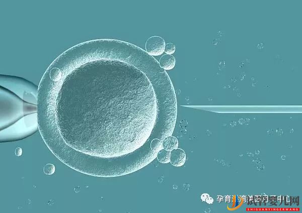 試管嬰兒技術,美國vs中國(圖2)