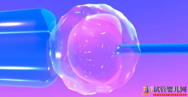 赴美做試管嬰兒怎么選擇靠譜的醫(yī)院(圖7) 赴美做試管嬰兒怎么選擇靠譜的醫(yī)院(圖7)