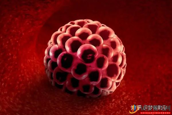 赴美做試管嬰兒怎么選擇靠譜的醫(yī)院(圖6)