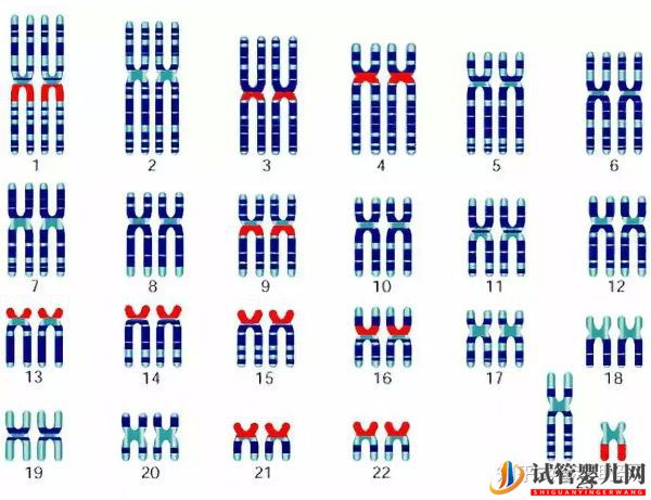 赴美做試管嬰兒怎么選擇靠譜的醫(yī)院(圖10) 赴美做試管嬰兒怎么選擇靠譜的醫(yī)院(圖10)