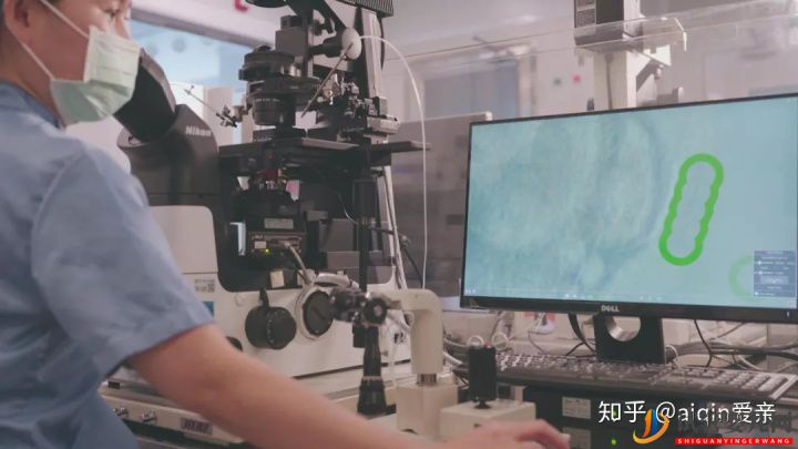 最完整的泰國試管流程時間表(圖19)