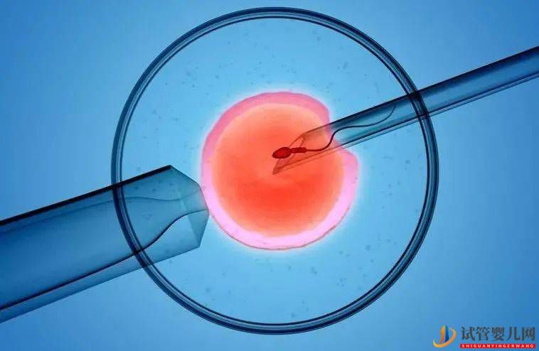 泰國試管成功率高的原因竟然是？(圖1)