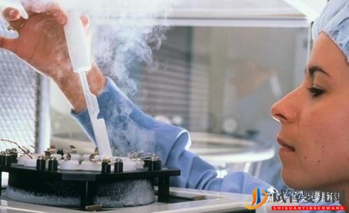 美國試管嬰兒助孕攻略,輕松赴美接好孕(圖1)