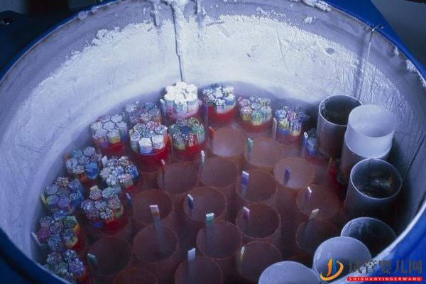 美國試管嬰兒知識問答_取卵半年后再移植,如何保障(圖5)