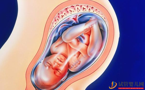 美國試管嬰兒知識問答_取卵半年后再移植,如何保障(圖8)