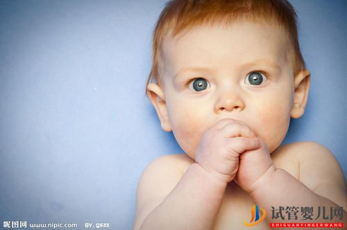 泰國試管嬰兒取卵期間的飲食注意事項(圖1) 泰國試管嬰兒取卵期間的飲食注意事項(圖1)