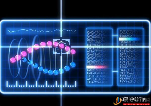 美國試管嬰兒技術(shù)剖析-六個環(huán)節(jié)操作細(xì)節(jié)解讀(圖1)