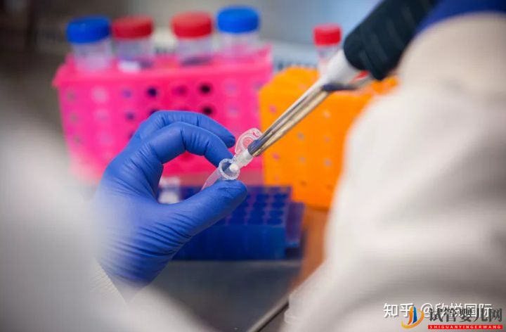 凍胚是什么_了解下凍胚過程!成都凍胚多少錢(圖5)