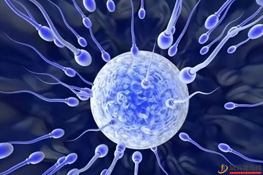 第二代試管嬰兒，胚胎質量會好嗎？(圖1)