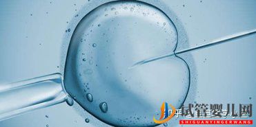 到底什么是試管嬰兒(圖6)