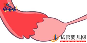 當(dāng)家視頻_試管嬰兒的步驟、預(yù)算和時(shí)間管理(圖4)