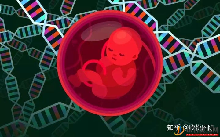 第三代試管嬰兒費用大概多少錢(圖1)