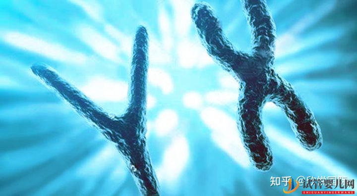 第三代試管嬰兒費用大概多少錢(圖2)