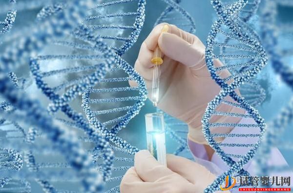 美國試管嬰兒方案制定依據(jù)各環(huán)節(jié)具體操作及重點(diǎn)(圖9) 美國試管嬰兒方案制定依據(jù)各環(huán)節(jié)具體操作及重點(diǎn)(圖9)