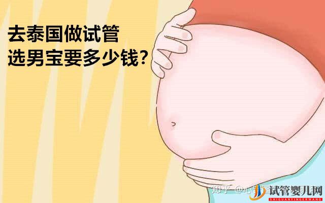 去泰國做試管生男孩要多少錢(圖1)