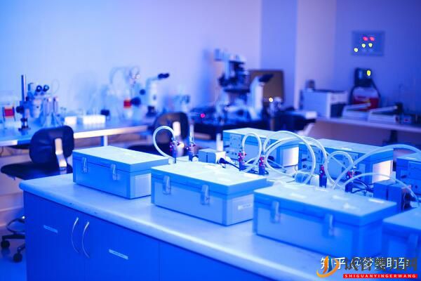 美國第三代試管嬰兒費用是多少,成功率多高(圖8)