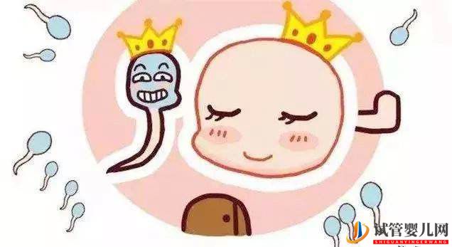 大齡備孕如何提高卵子質(zhì)量呢(圖1)