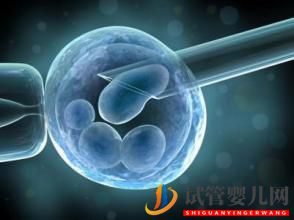 我的美國試管嬰兒經驗，希望大家少走彎路(圖1)