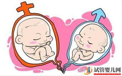 試管媽媽來教你_試管已生男孩的總結!(圖1)