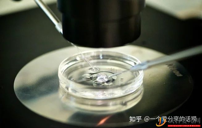 試管的時候,取卵痛嗎(圖2)