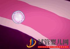 做試管嬰兒到底要花多少錢_幾萬和十幾萬有什么區別(圖8)
