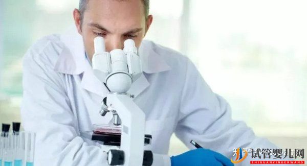 做試管嬰兒的具體步驟是怎樣的_一文給你講解試管(圖5)
