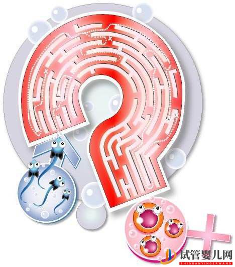 做試管嬰兒需要多少天？分兩個周期，時長大概在2個月左右(圖1)