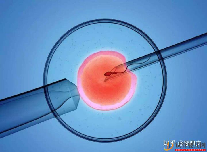 國內(nèi)第三代試管嬰兒移植前后,這些激素值很重要!(圖2)