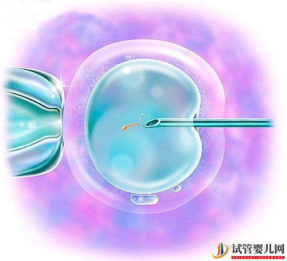 國內(nèi)第三代試管嬰兒移植前后,這些激素值很重要!(圖3)
