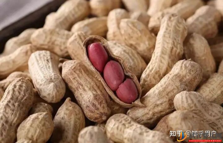 男性備孕也很關鍵,男性備孕講究這么多(圖4)