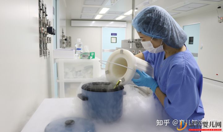 試管嬰兒全部步驟要花多少錢(圖2)