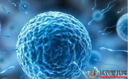 試管嬰兒男人是如何取精的_一般大家喜歡用這2種方法(圖2)