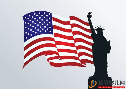 美國做試管嬰兒，不會英語怎么辦？(圖1)