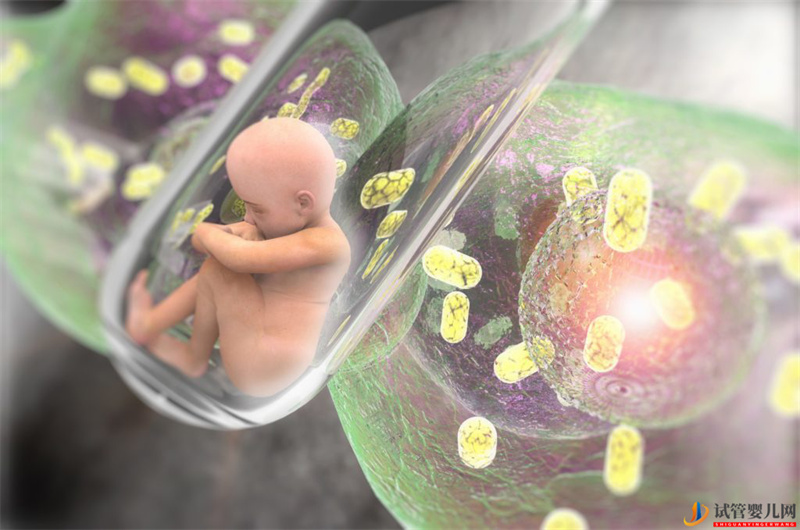 都勻三代試管嬰兒成功率是多少(圖1)
