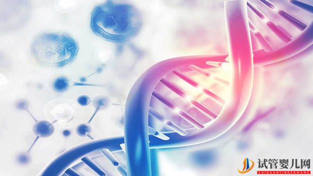 三代試管嬰兒技術(shù)可以避免高度近視遺傳嗎？(圖2)
