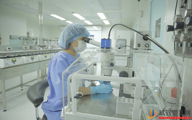 三代試管嬰兒技術(shù)怎么樣?看完你就懂了(圖2) 都勻三代試管嬰兒技術(shù)怎么樣?看完你就懂了(圖2)