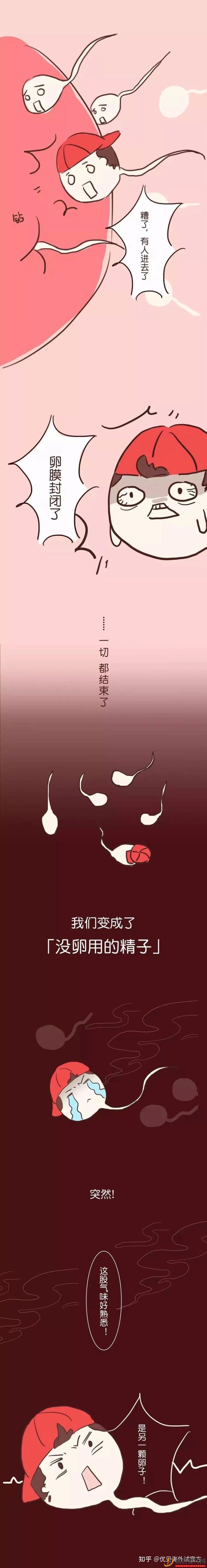 三代試管嬰兒選性別(圖6)