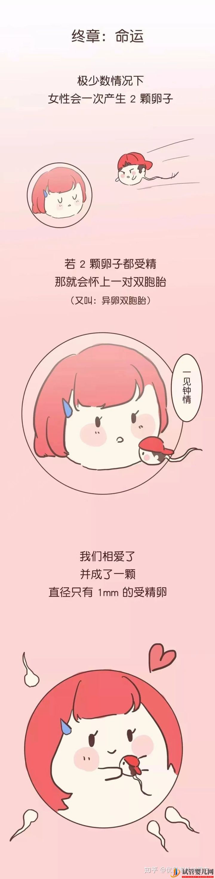 三代試管嬰兒選性別(圖7)