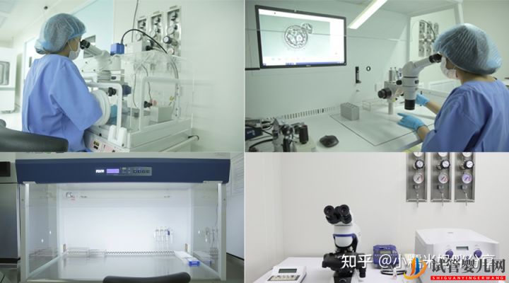 做一次試管嬰兒多少錢(圖2)