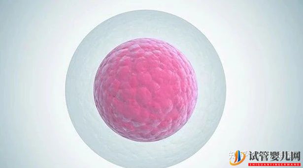 泰國(guó)做第三試管女性受罪嗎(圖4)