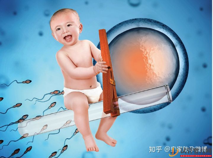 試管嬰兒90%不是自己的這才是事實的真相(圖1)