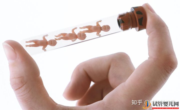 試管嬰兒成功誕生有多難(圖1)
