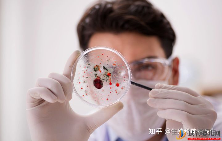 試管嬰兒成功率的高低,這4點很關鍵(圖5)