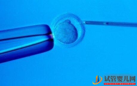 試管嬰兒成功率遠大于正常受孕嗎？(圖1)