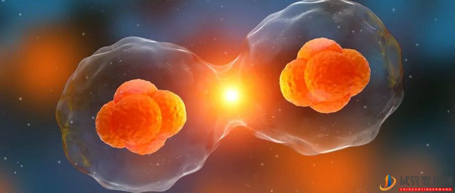 試管嬰兒促排卵的效果是怎樣才算好？(圖1)