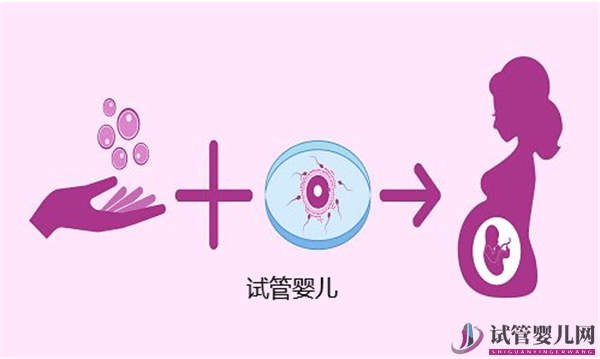 試管嬰兒的成功率會受到哪些因素的影響呢(圖1)