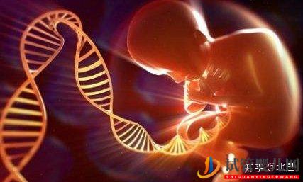 第三代試管嬰兒優勢與費用(圖2)