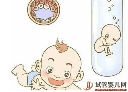 做試管胎兒停育的六大因素解析，母體年紀大則原因之一(圖1)